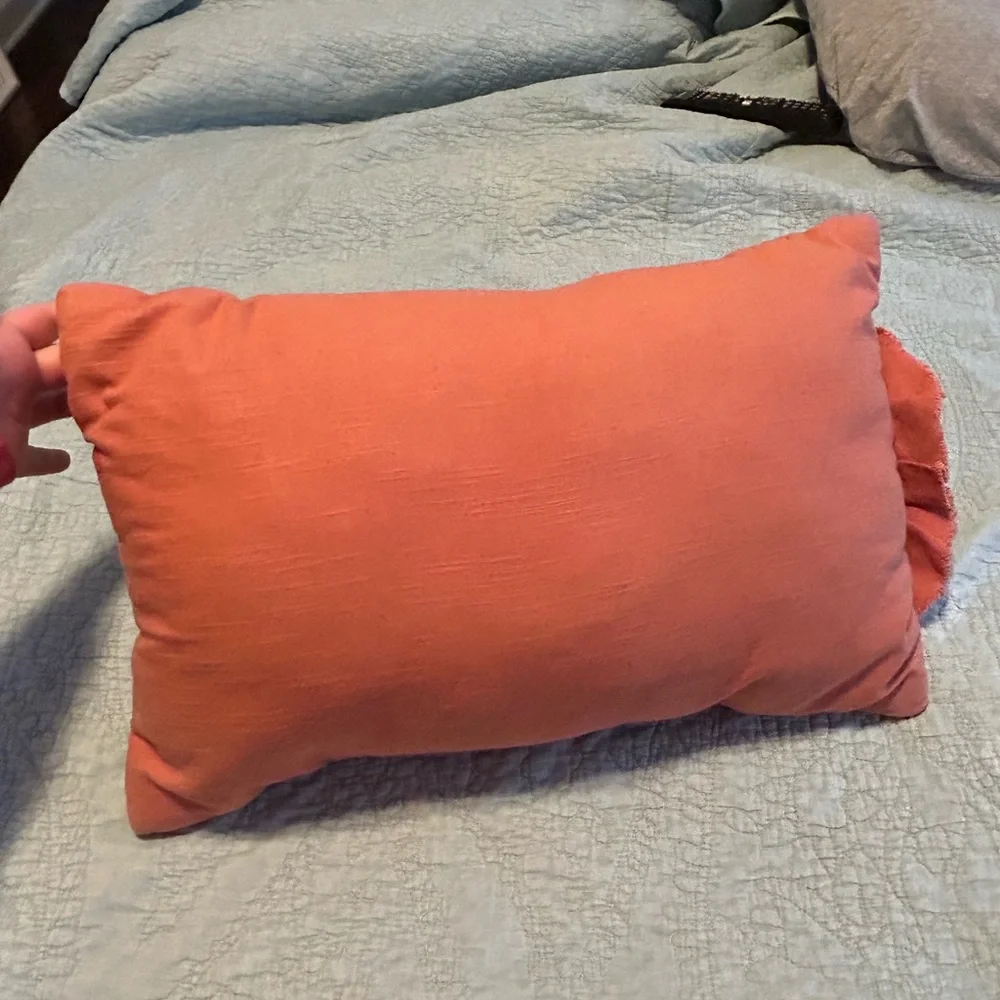 Targets Small Pink Decorative Pillow